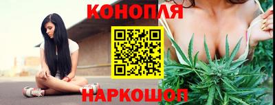стаф Краснознаменск