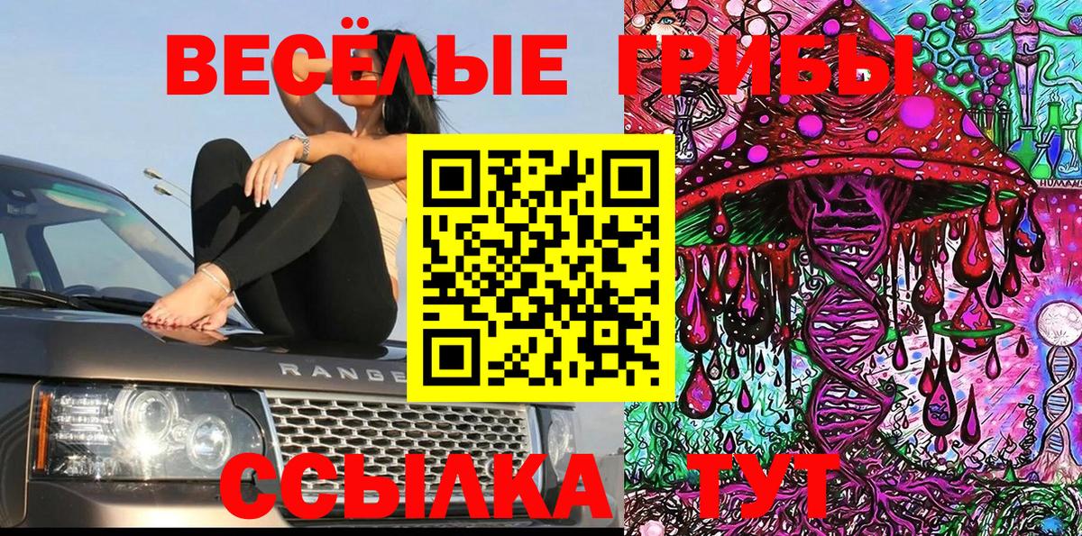 Туймазы  Галлюциногенные грибы прущие грибы  продажа наркотиков  Вход с VPN  Галлюциногенные грибы Psilocybe 