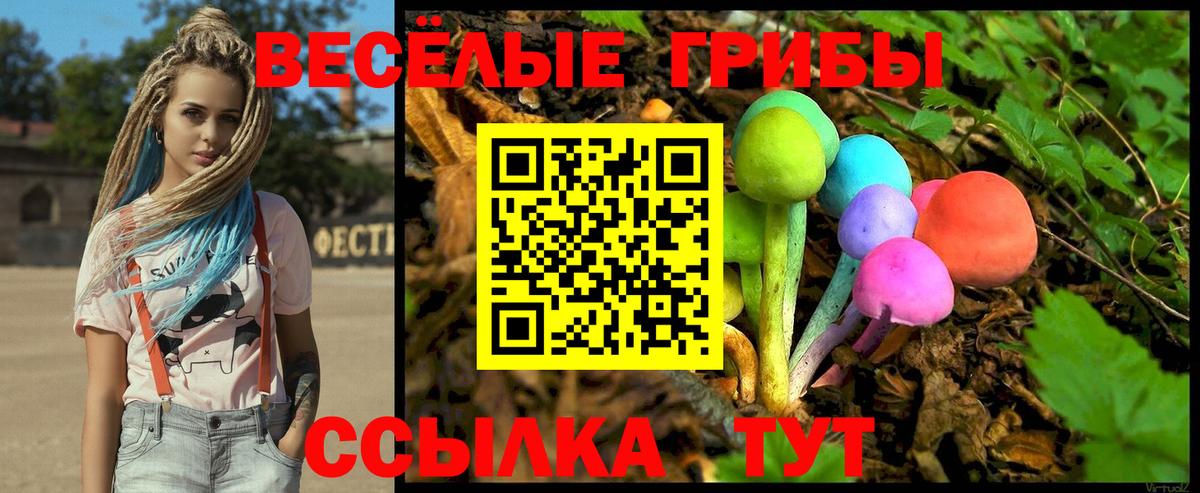 Галлюциногенные грибы Magic Shrooms Туймазы